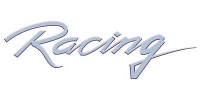 Виниловая наклейка на авто 46