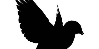 Животные 2732