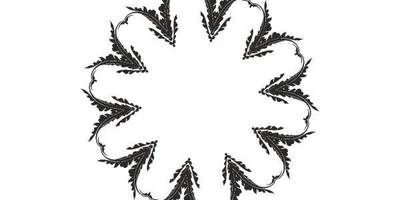 Орнамент цветы 76