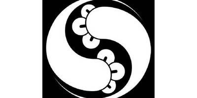 Японский узор 2543