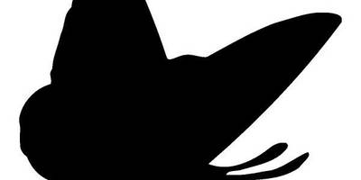 Животные 3921