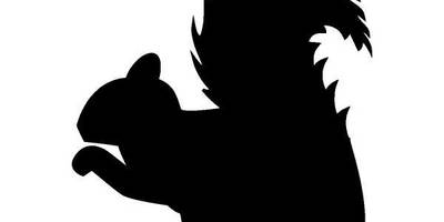 Животные 800