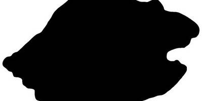 Животные 3079