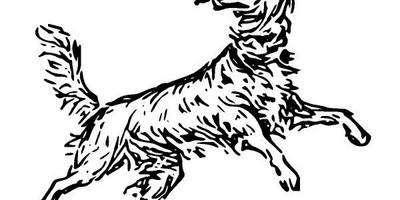 Животные 2575