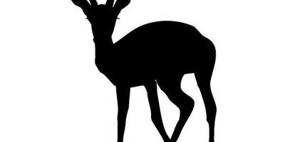 Животные 409