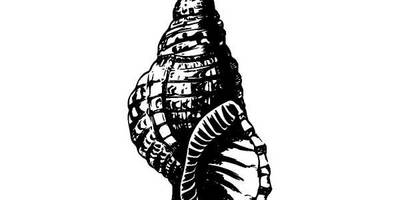 Животные 1289