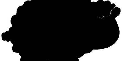 Животные 606