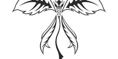 Татуировка 817