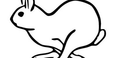 Животные 909