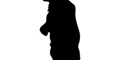 Животные 706