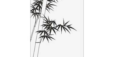 Прямоугольный орнамент 2915