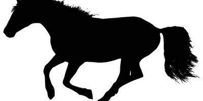 Животные 3542