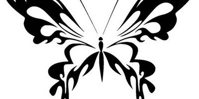 Животные 2572