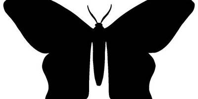 Животные 3237