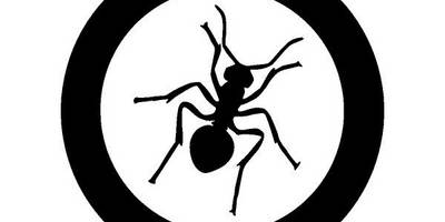 Животные 3191