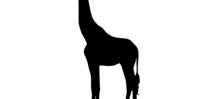 Животные 3427