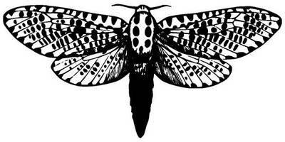 Животные 3858