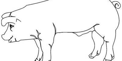 Животные 1979