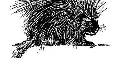 Животные 1090