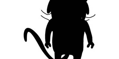 Животные 1181