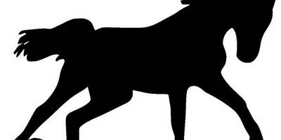 Животные 4131