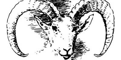 Животные 945