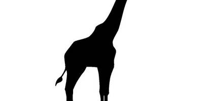 Животные 3100