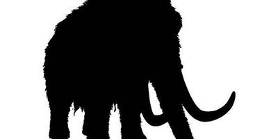 Животные 4181