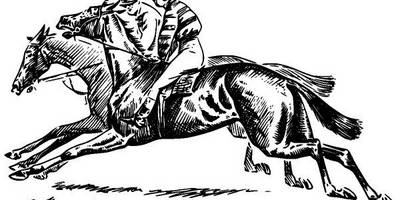 Животные 2595