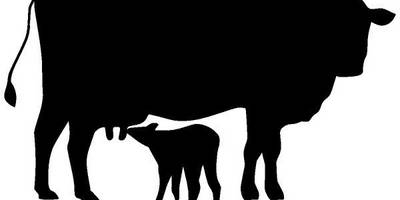 Животные 3173