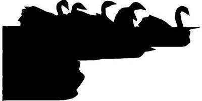 Животные 564