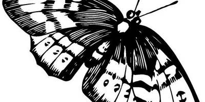 Животные 1311