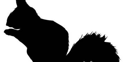 Животные 486