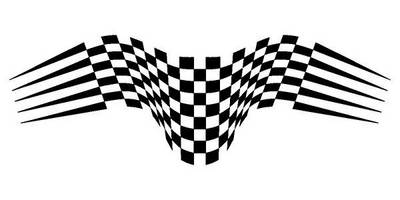 Виниловая наклейка на авто 10