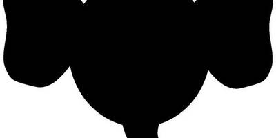 Животные 1091