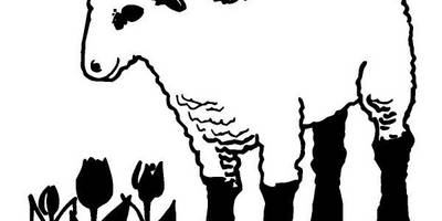 Животные 298