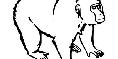 Животные 159