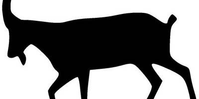 Животные 1334