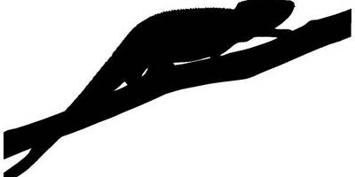 Животные 4158