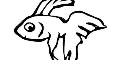 Животные 1166