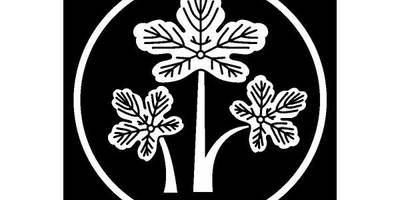 Японский узор 1496