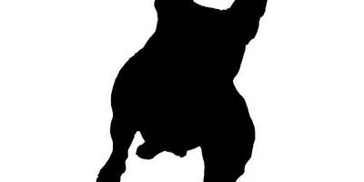 Животные 3253