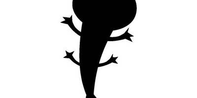 Животные 2068