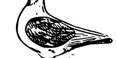 Животные 599