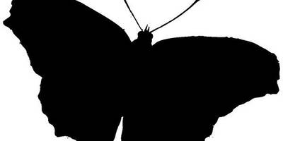 Животные 2170