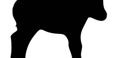 Животные 1399