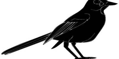 Животные 608