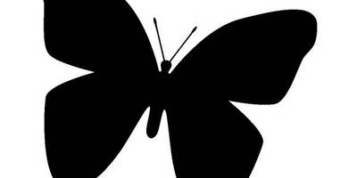 Животные 3037