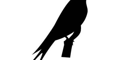 Животные 238