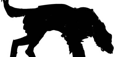 Животные 369